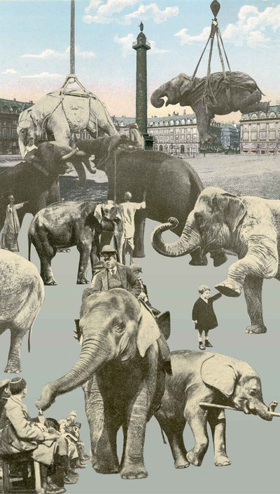 Paris - Elephants Art Print by Peter Blake - Art Republic