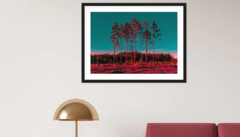 The pastoral - 7 landscape prints to bring the outdoors inside