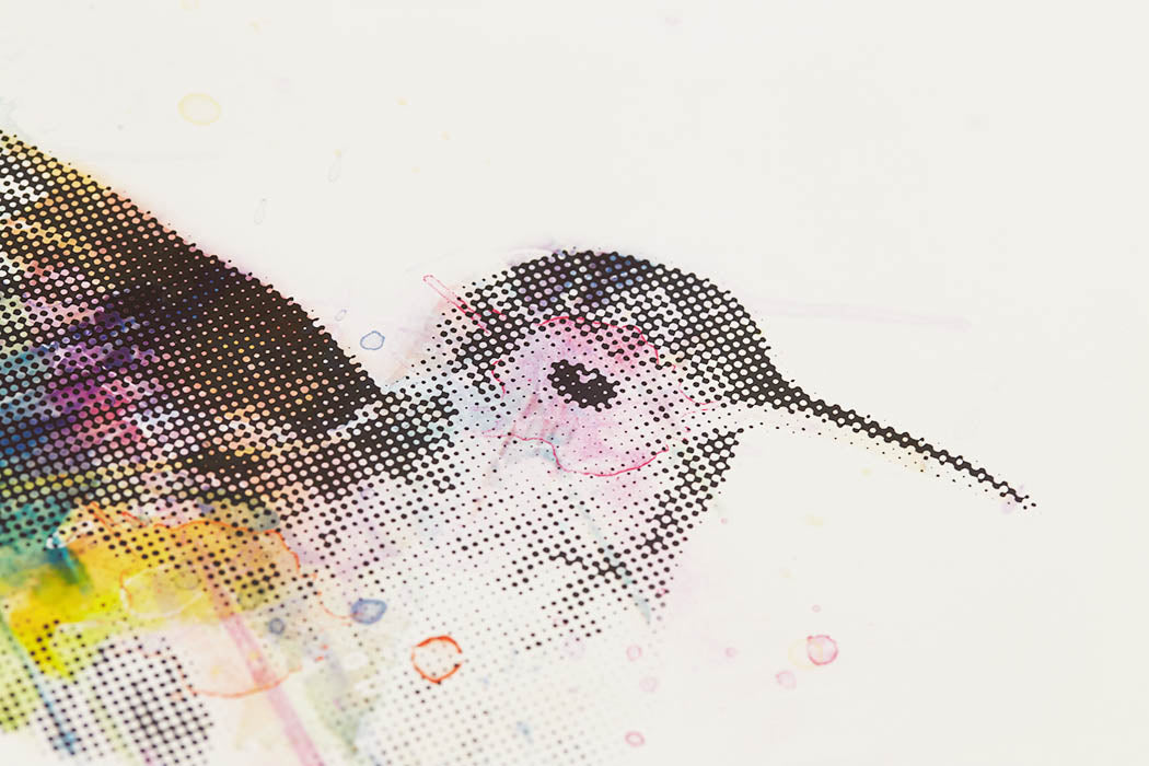 Hummingbird Enlarged