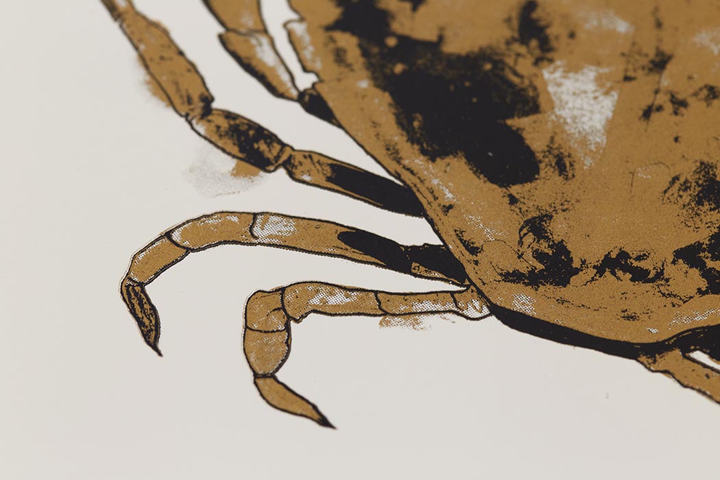 Crab Gold Enlarged