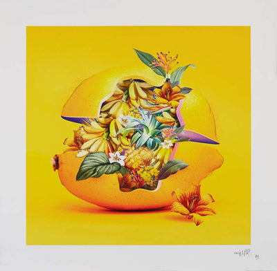 Lemon Blossom 3 Art Print by Emilie DeBlack - Art Republic