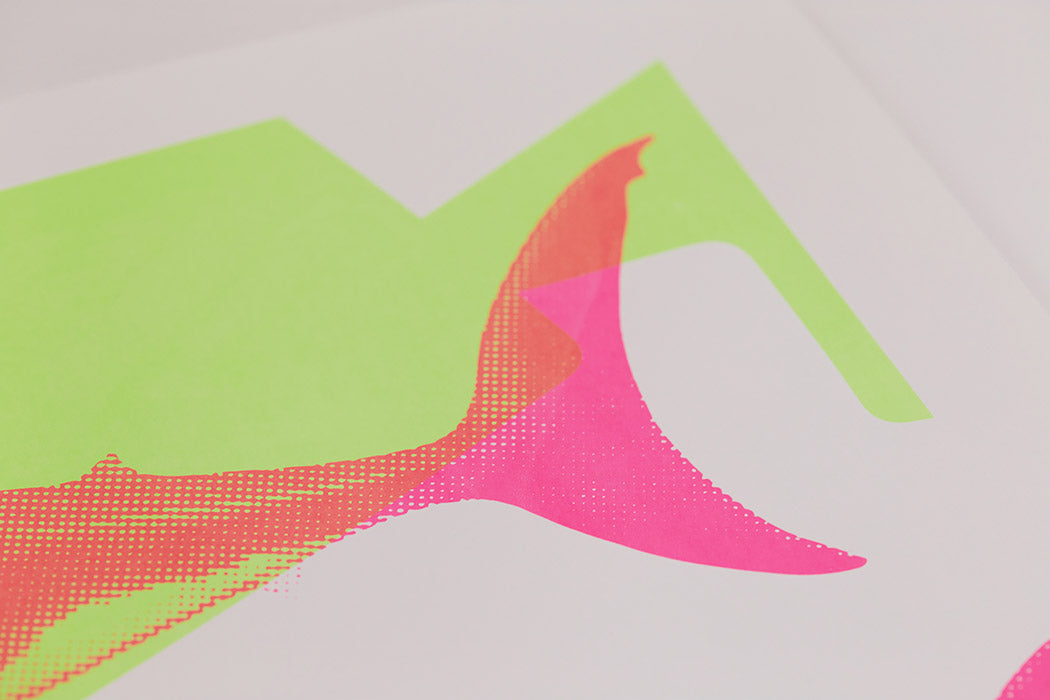Shark Tank (Neon Green and Pink) Enlarged