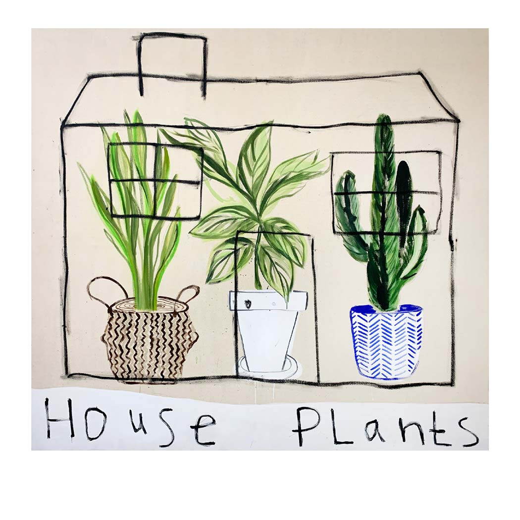House plants Enlarged
