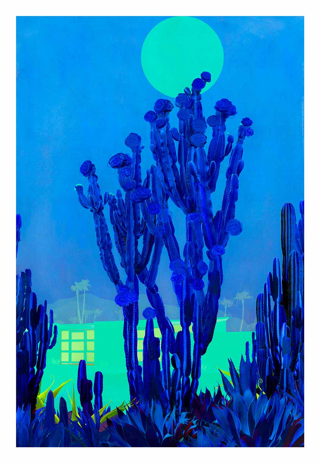 Cactus Moonlight Enlarged
