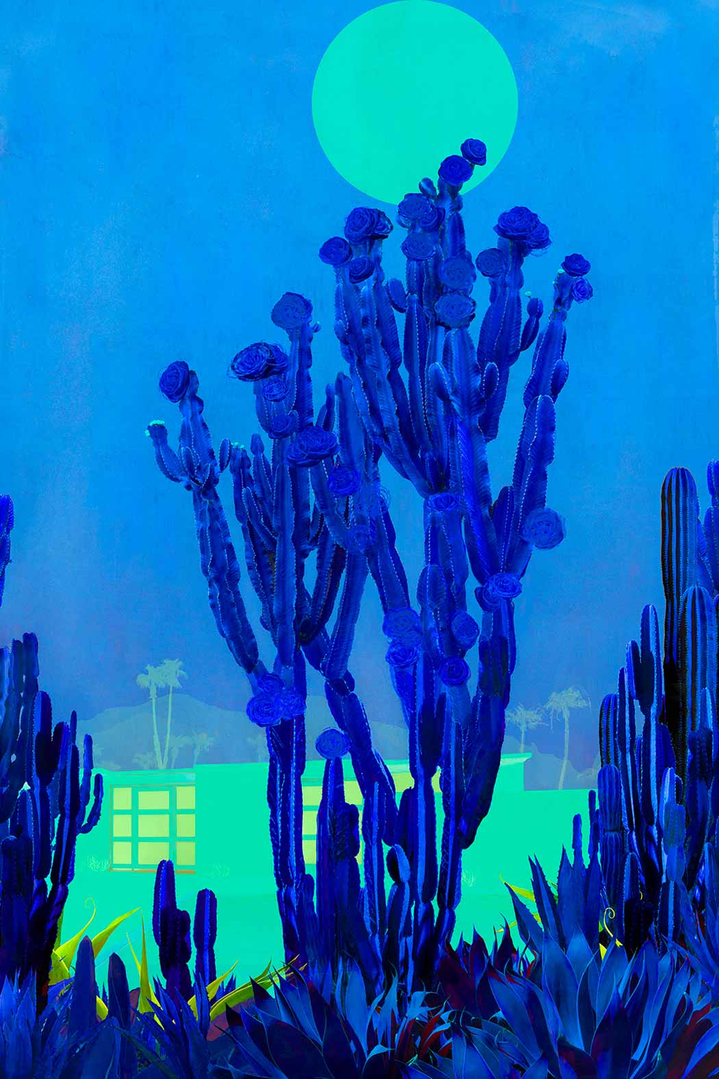 Cactus Moonlight Enlarged