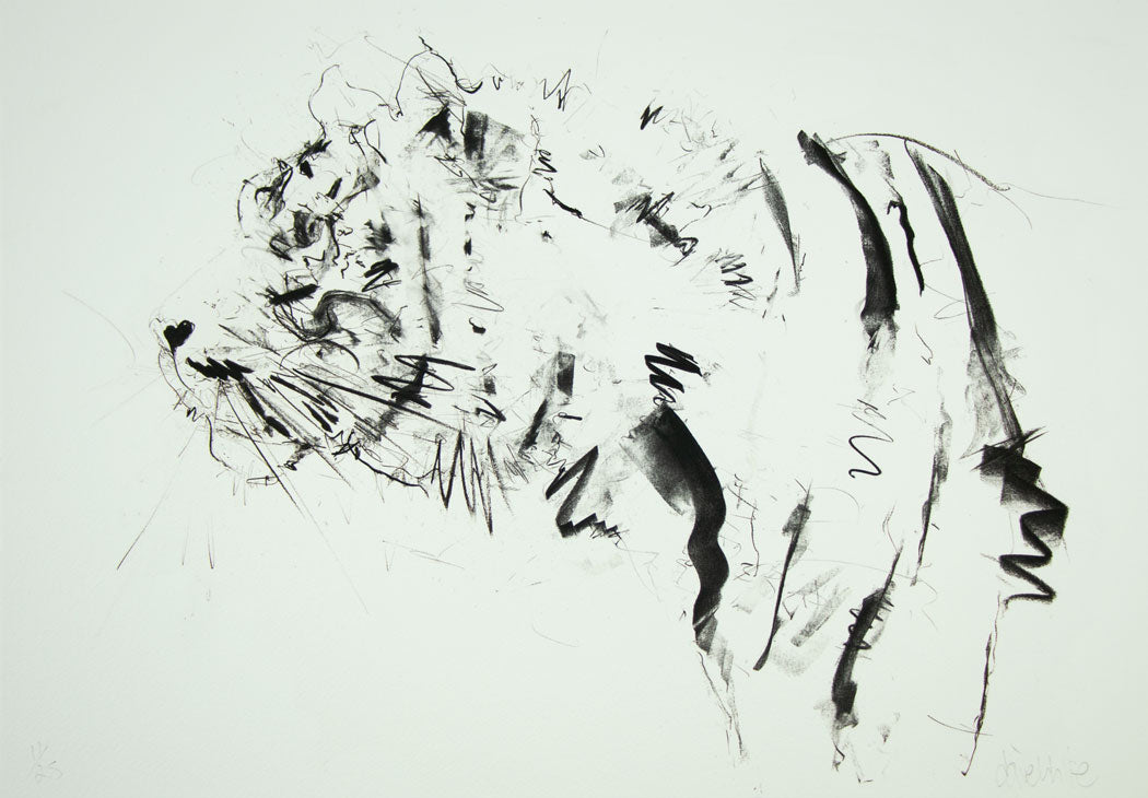 Siberian Tiger Enlarged
