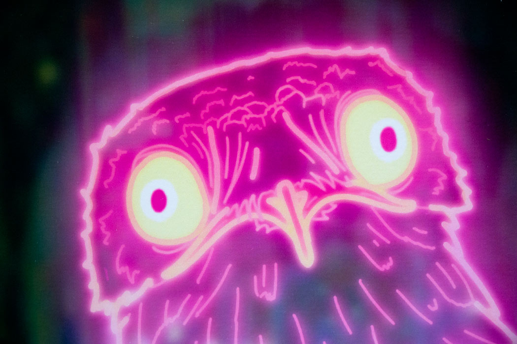 Potoo Enlarged
