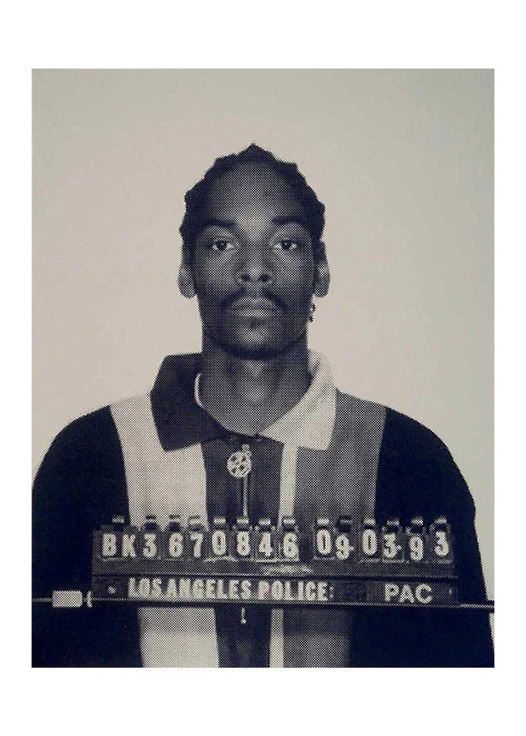 Snoop Dogg II (Dark blue on silver) Enlarged