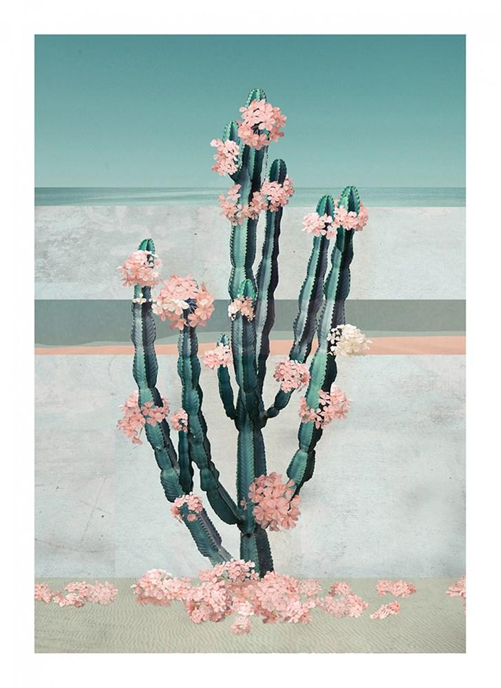 Cactus Dream Enlarged
