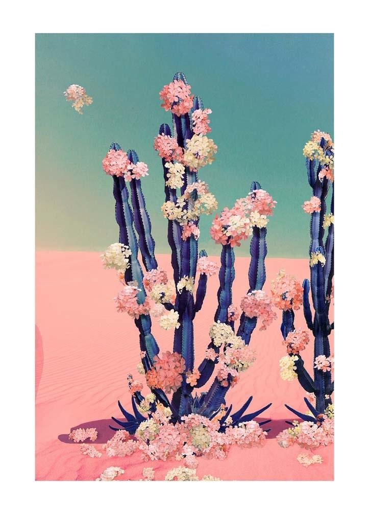 Cactus Flower Enlarged