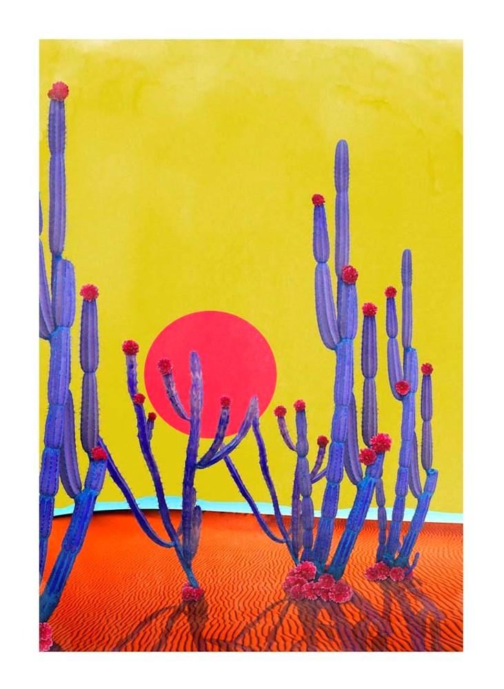 Cactus Sunset Enlarged
