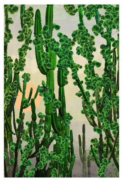 Cactus Sun