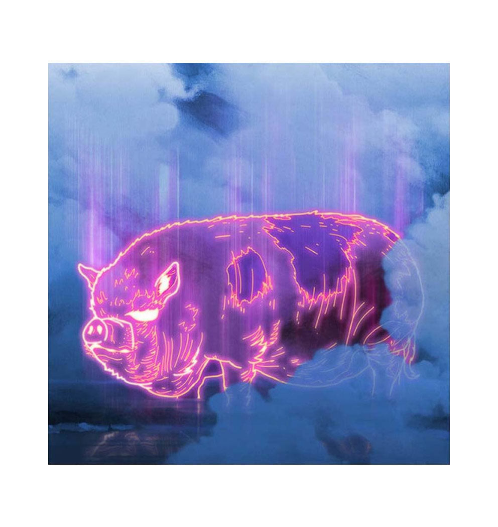 Pig Enlarged