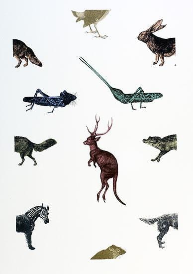 Interspecies Art Print by Penelope Kenny - Art Republic