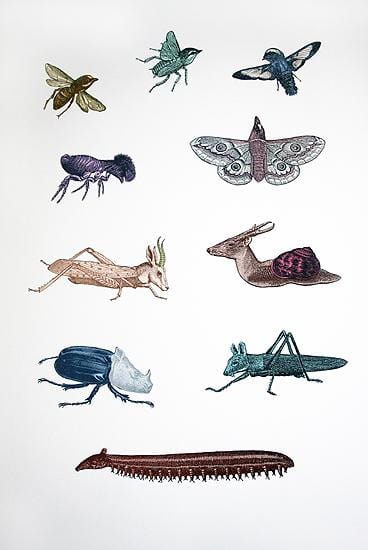 Animated Animals of the Small Kind Art Print by Penelope Kenny - Art Republic