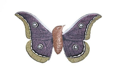 Moth-Bird 1 Art Print by Penelope Kenny - Art Republic