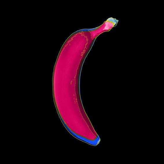 Banana Enlarged