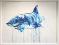 Framed Apex Shark VIII