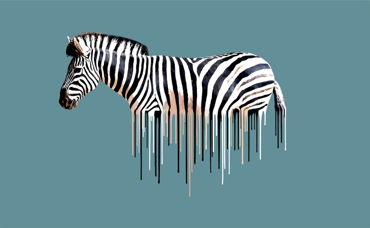 Zebra Enlarged