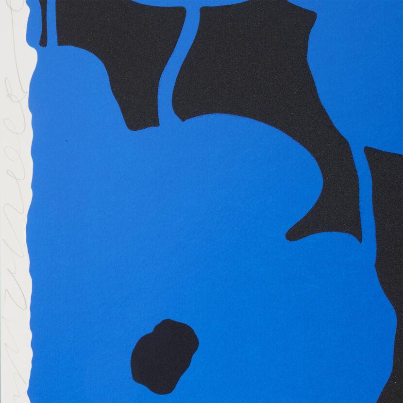 Blues (portfolio), 2008 Enlarged