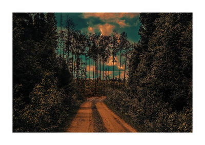 Follow the Yellow Big Road - Large Photography Print by Keekopie - Art Republic