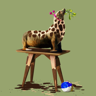 The Seal Who Wanted to be a Giraffe Art Print by Carl Moore - Art Republic