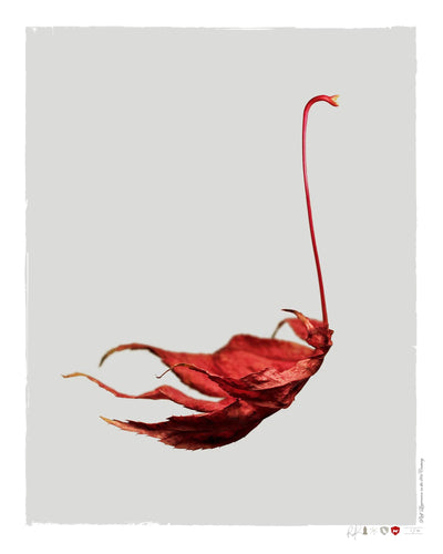 Shape Fall No.1 Art Print by Ralf Laurenson - Art Republic