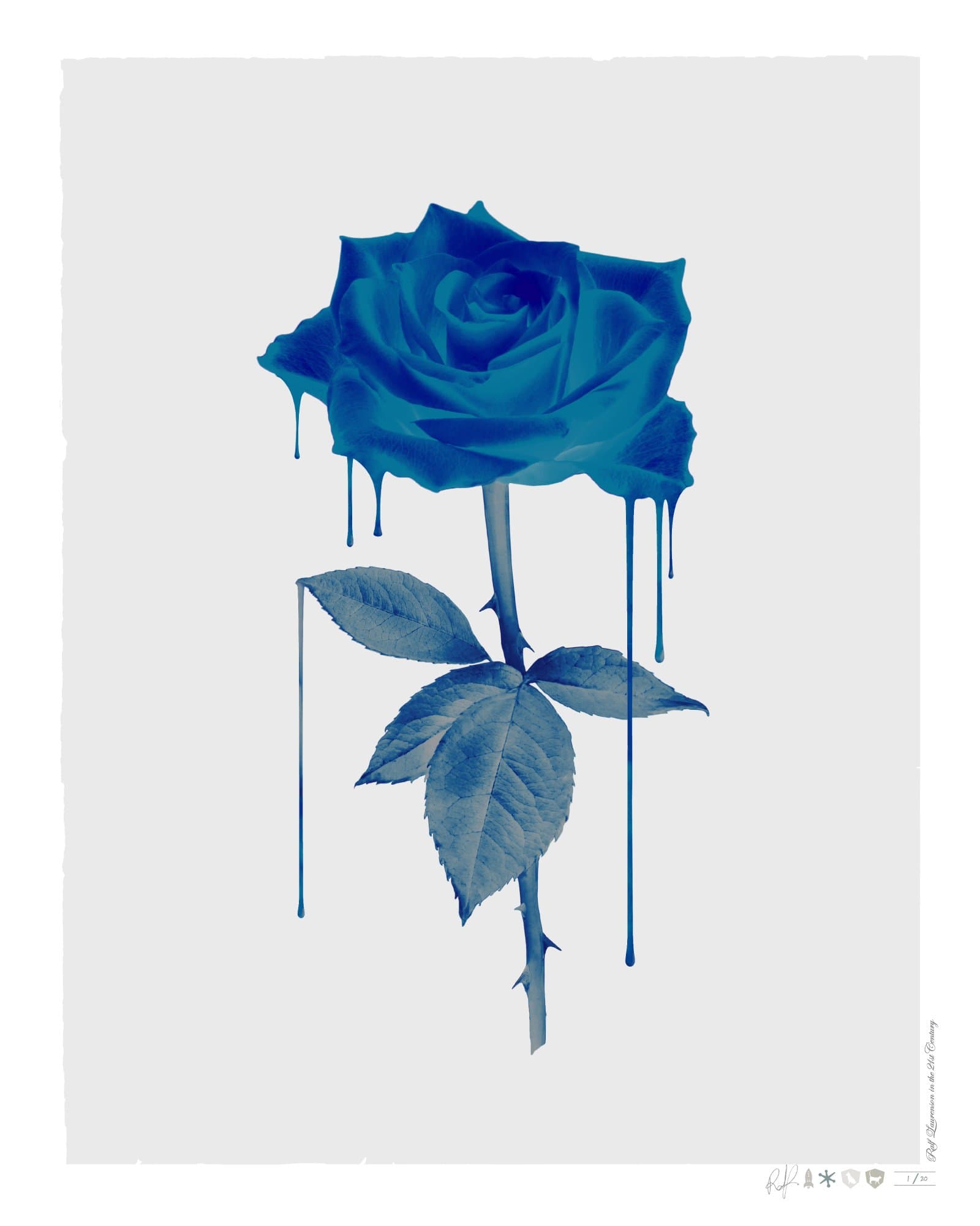 Melting Blue Rose Enlarged