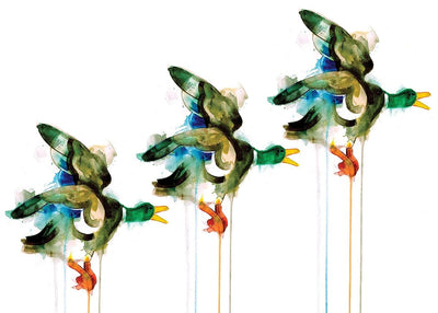 Three Flying Ducks Art Print by Gavin Dobson - Art Republic