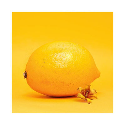 Lemon Blossom 1 Art Print by Emilie DeBlack - Art Republic