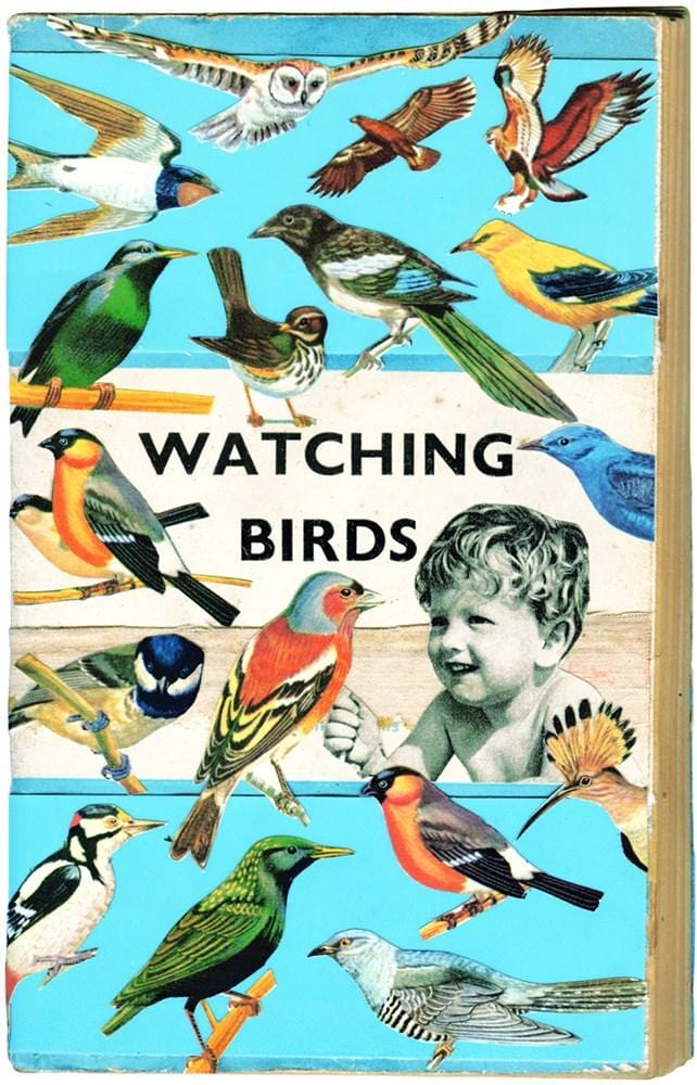 Watching Birds Enlarged