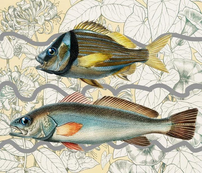 Two Fish Art Print by Chloe Rox - Art Republic