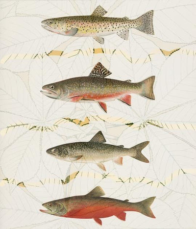 Four Fish Art Print by Chloe Rox - Art Republic