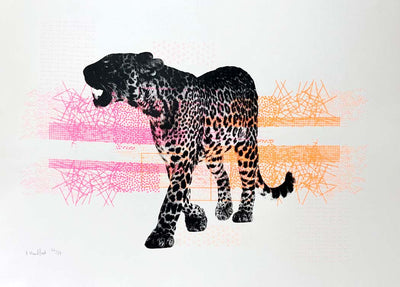 A Leopard Always Changes its Spots Art Print by Memori Prints - Art Republic
