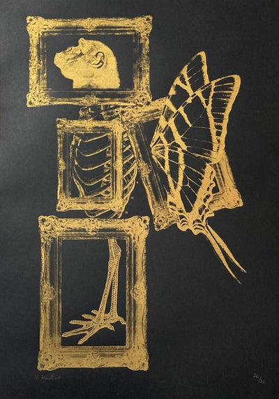 Fly My Pretties (Gold Ink On Black) Art Print by Memori Prints - Art Republic