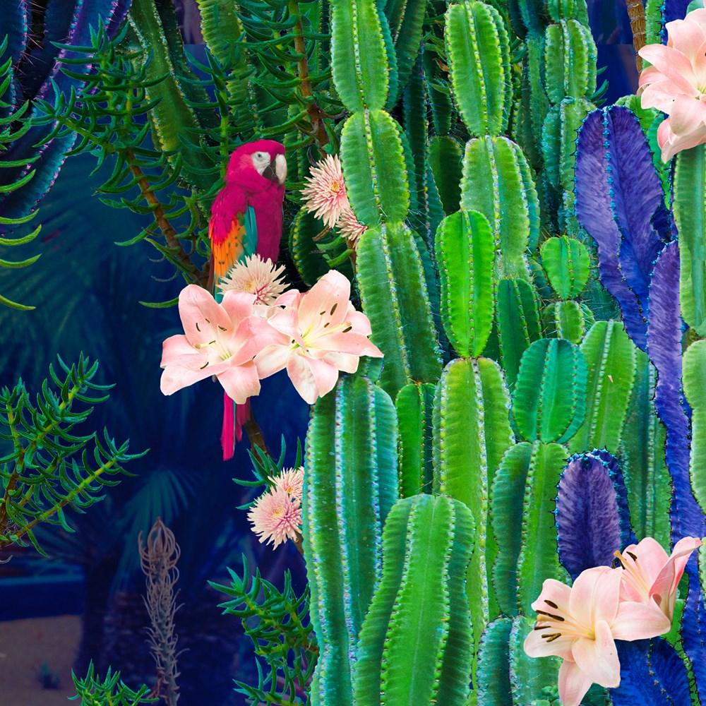 Cactus Garden - Small Enlarged