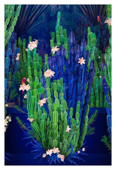 Cactus Garden - Small Art Print by Nadia Attura
