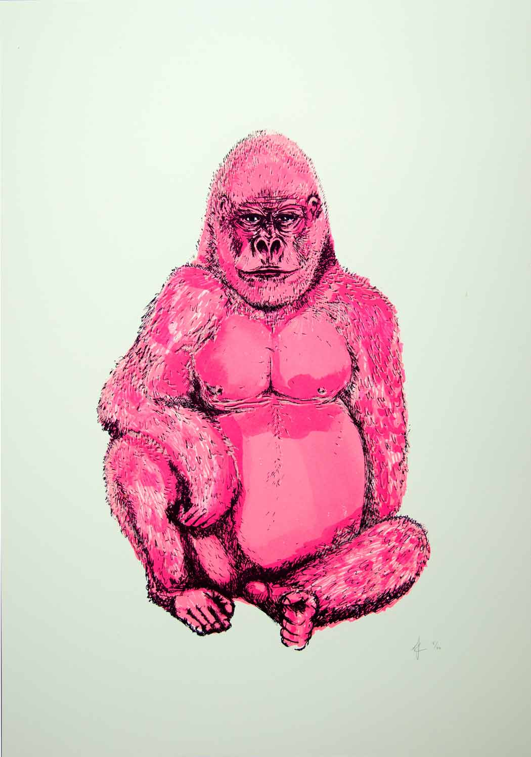 Gorilla - Neon Pink Enlarged