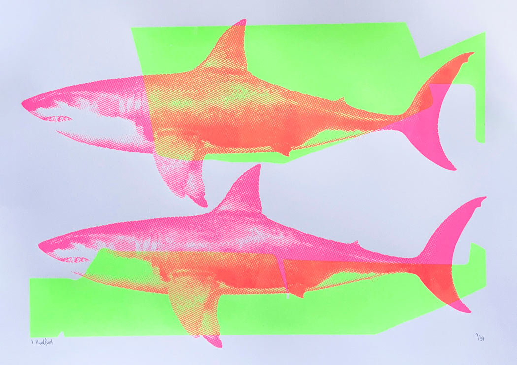 Shark Tank (Neon Green and Pink) Enlarged