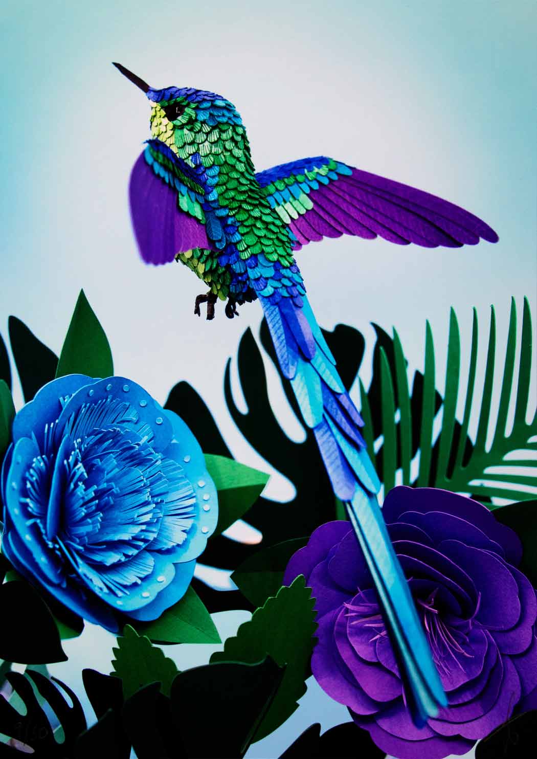 Hummingbird with Blue Background - Medium Enlarged