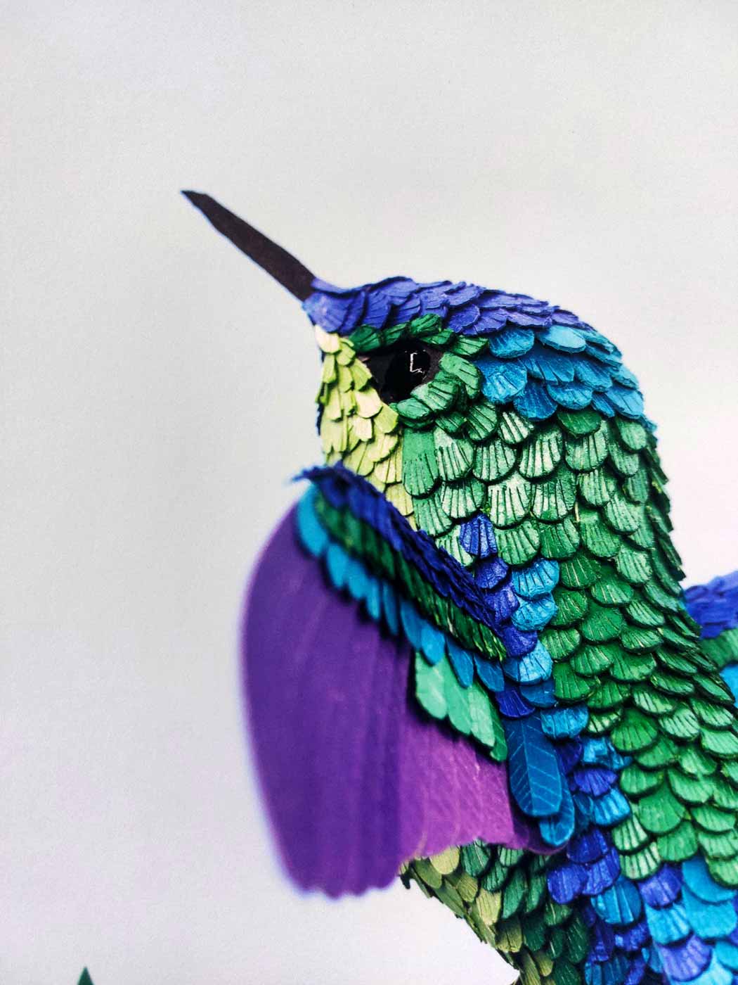 Hummingbird with Blue Background - Medium Enlarged