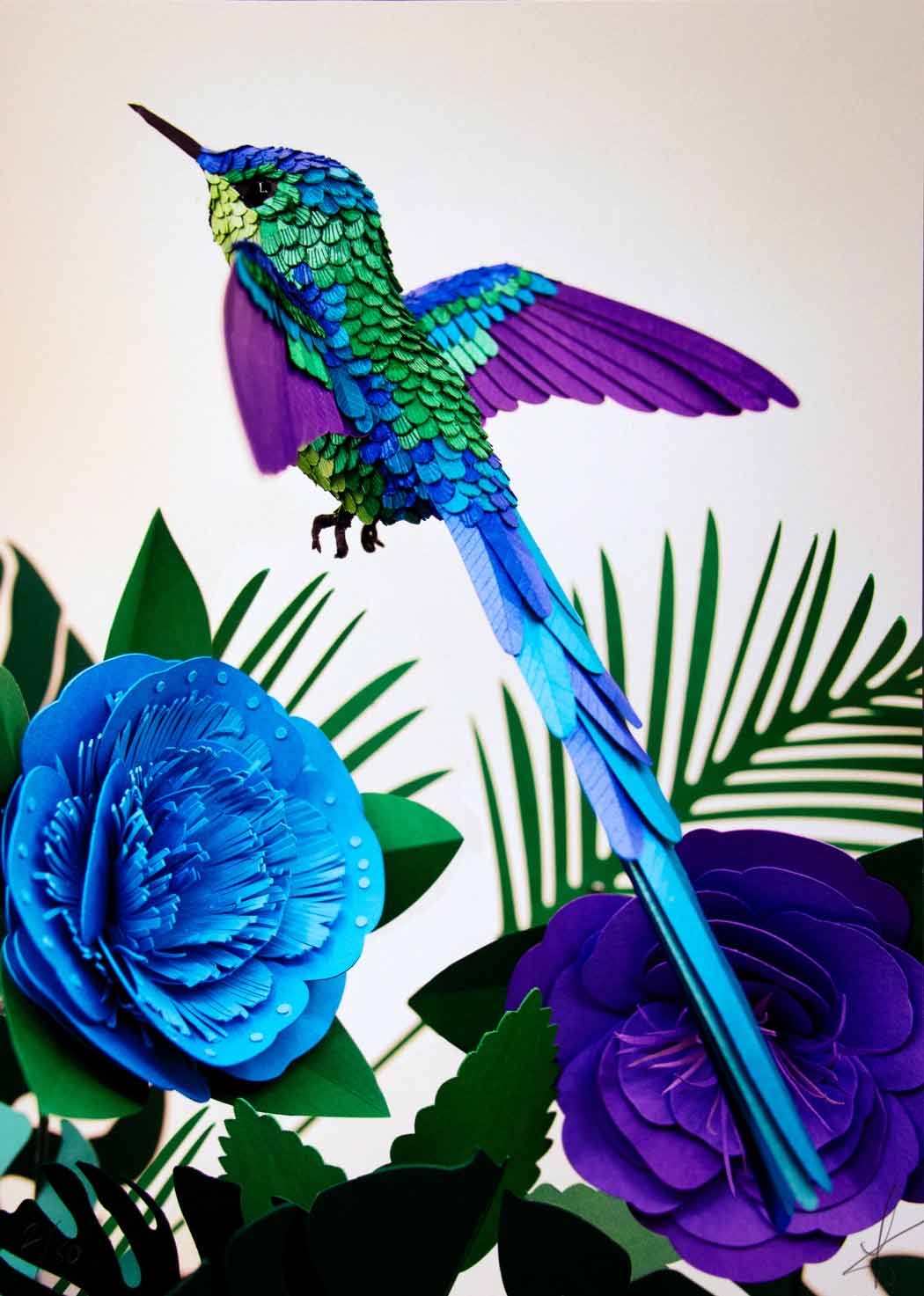 Hummingbird with Neutral Background - Medium Enlarged