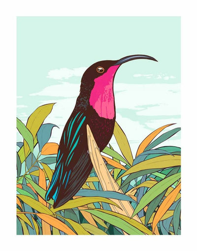 Hummingbird Art Print by Joseph Vass - Art Republic