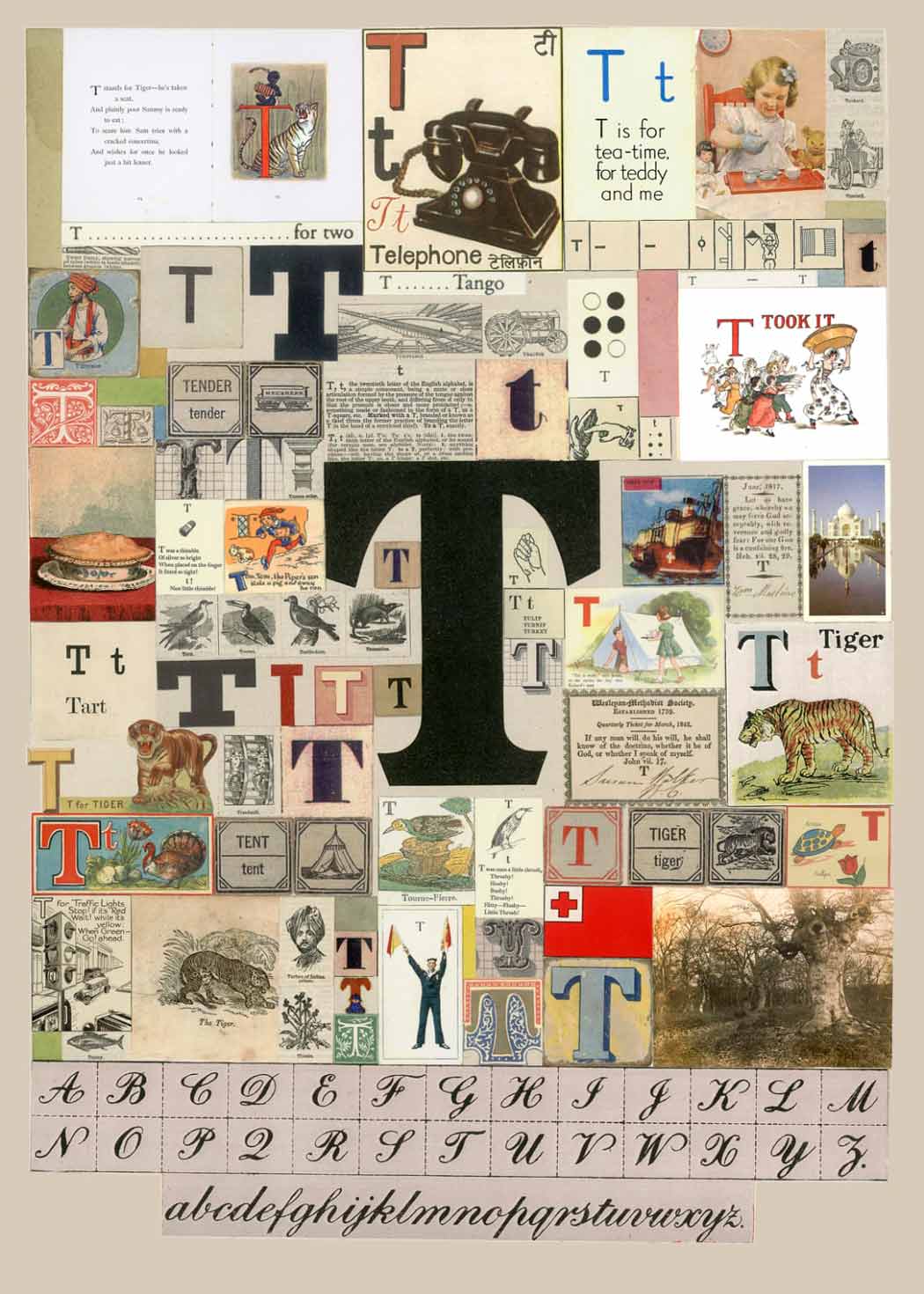 Letter T Enlarged