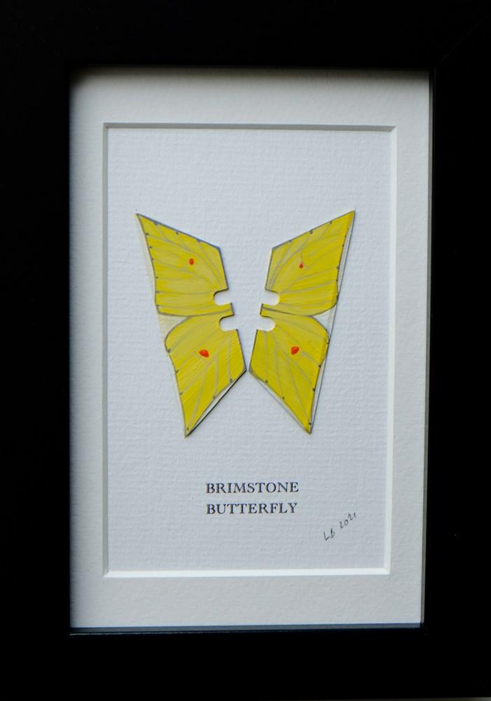 Framed Brimstone Butterfly Enlarged