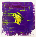 Exodus I - Chimera Birdwing Butterfly