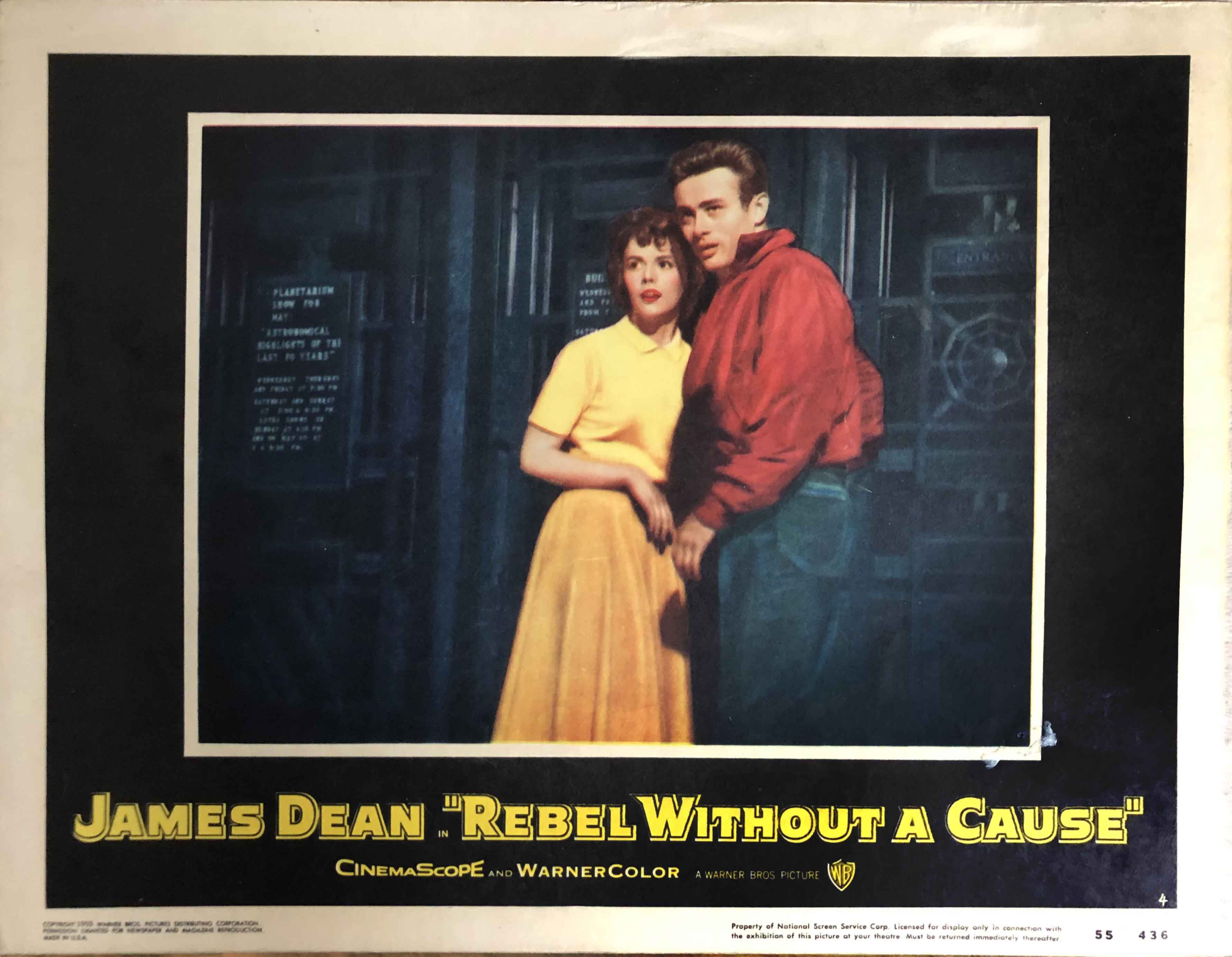 Rebel without a cause, 1955 Enlarged
