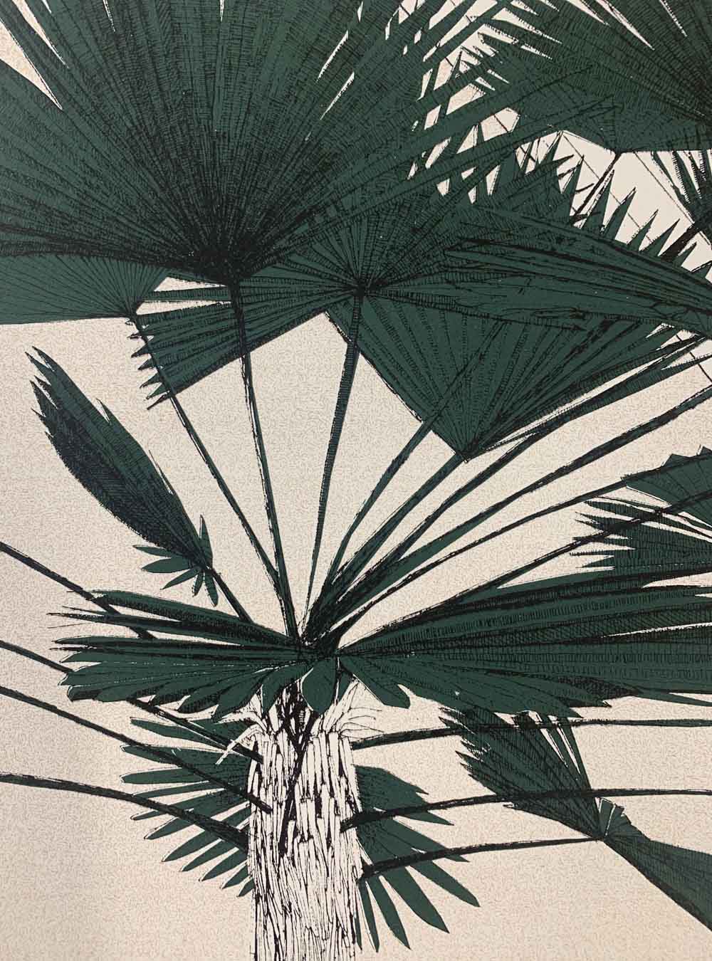 A Green Palms Blush Enlarged