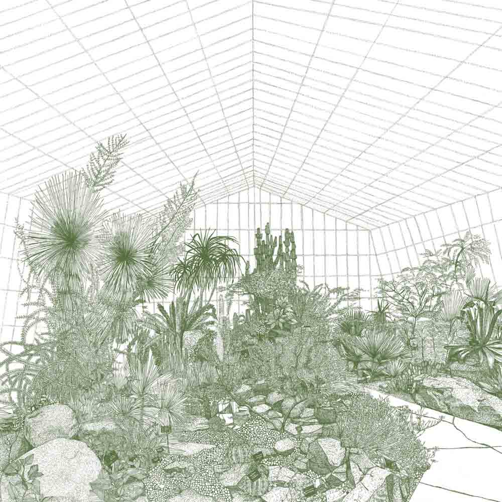 Greenhouse-Cacti Enlarged