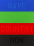 Save The Country Now, 2011